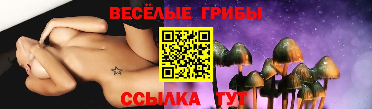 Галлюциногенные грибы Cubensis  Псилоцибиновые грибы MAGIC MUSHROOMS  Вход с VPN  Ливны 